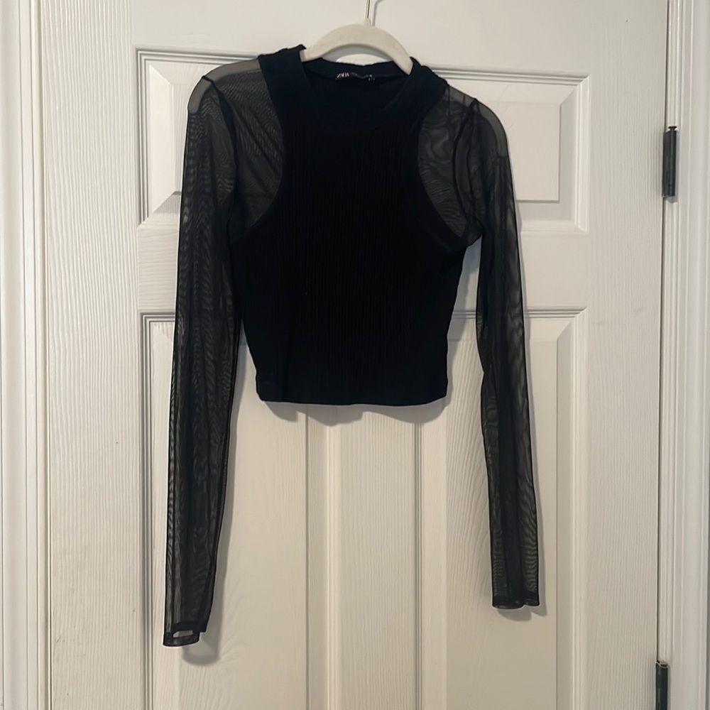 Zara mesh sleeve sweater